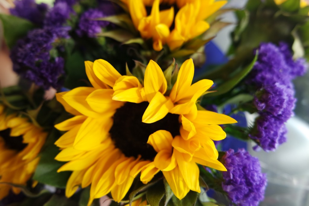 SAMSUNG CAMERA PICTURES