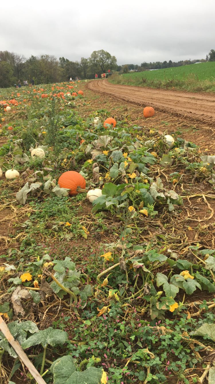 1432C7DC-D08F-4139-8033-3C978A5E6B96